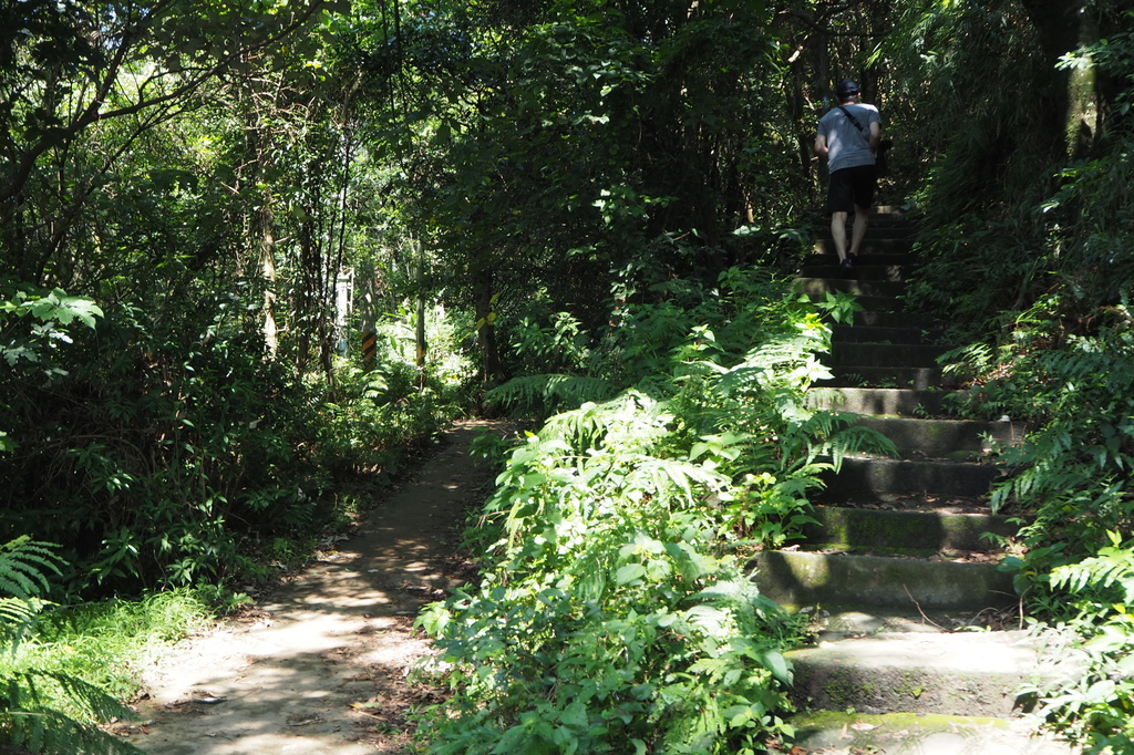 P6135682.JPG P6135682.JPG