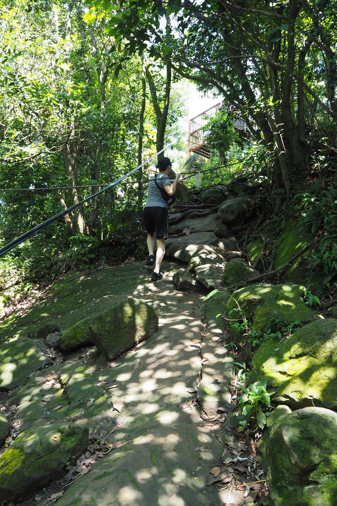 P6135685.JPG P6135685.JPG