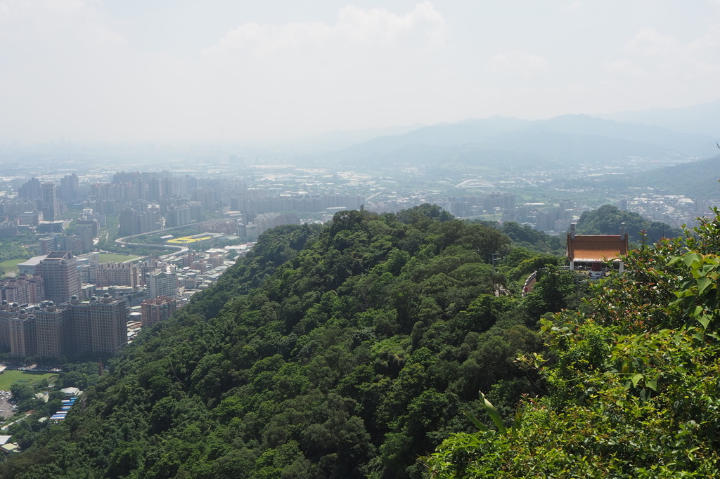 P6135707.JPG P6135707.JPG