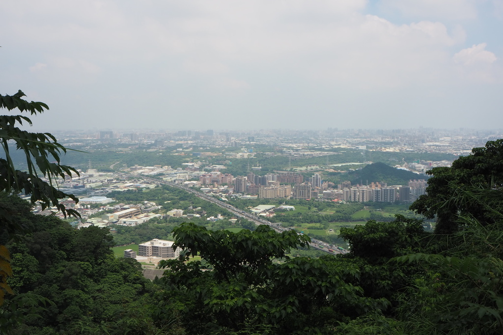 P6135733.JPG P6135733.JPG