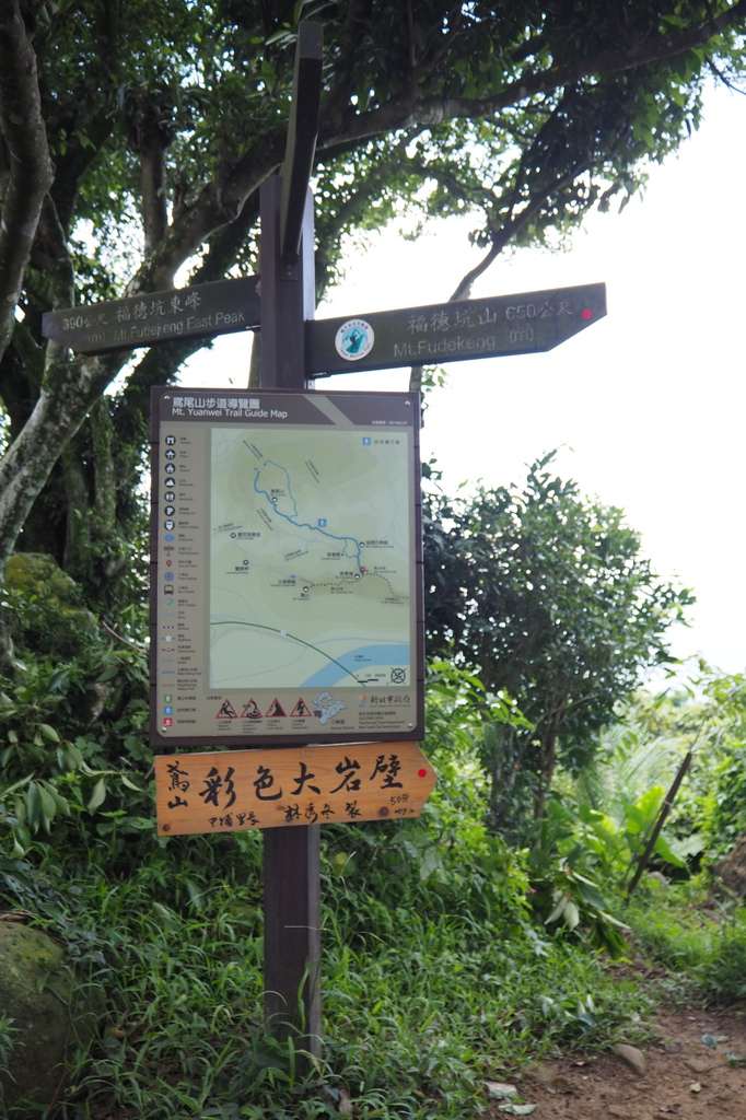 P6135727.JPG P6135727.JPG