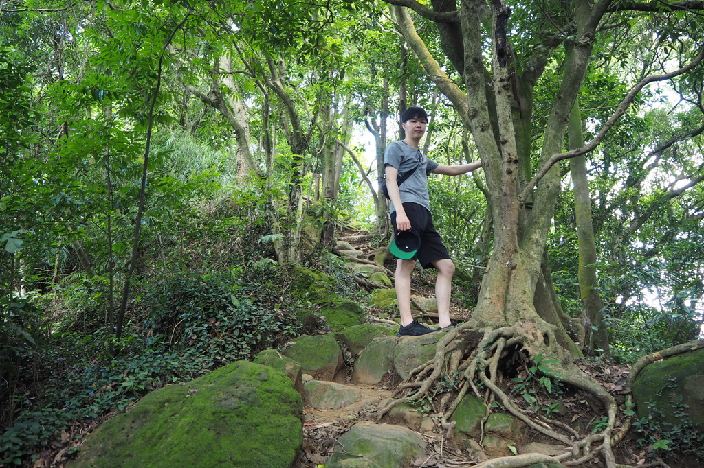 P6135725.JPG P6135725.JPG