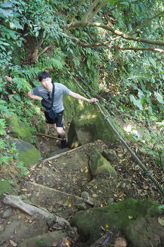 P6135744.JPG P6135744.JPG