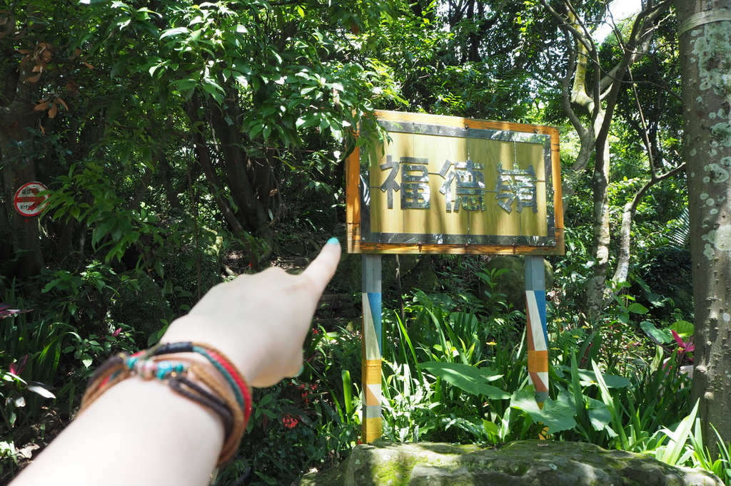 P6135747.JPG P6135747.JPG