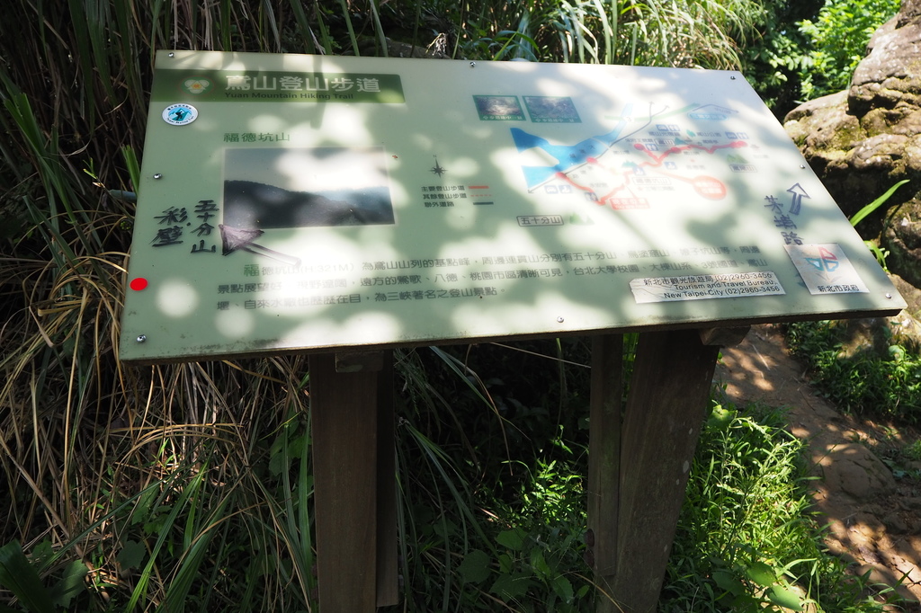 P6135770.JPG P6135770.JPG