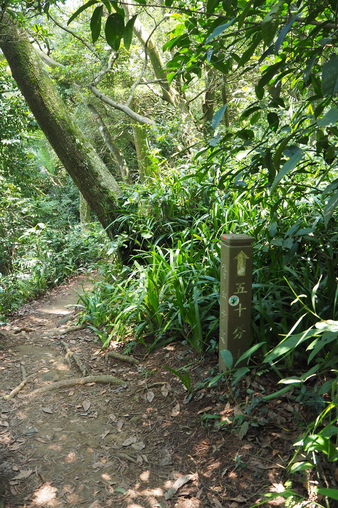 P6135779.JPG P6135779.JPG