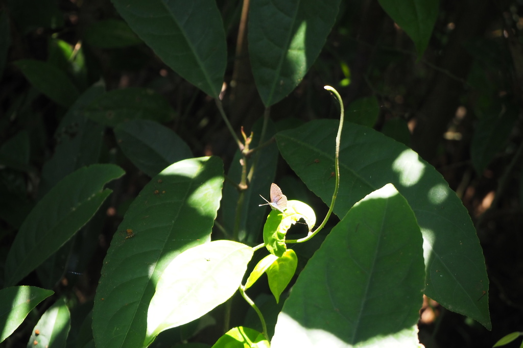 P6135781.JPG P6135781.JPG