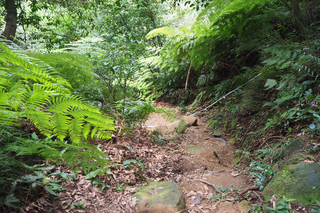 P6135794.JPG P6135794.JPG