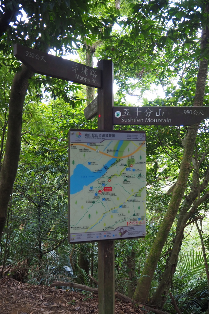 P6135793.JPG P6135793.JPG