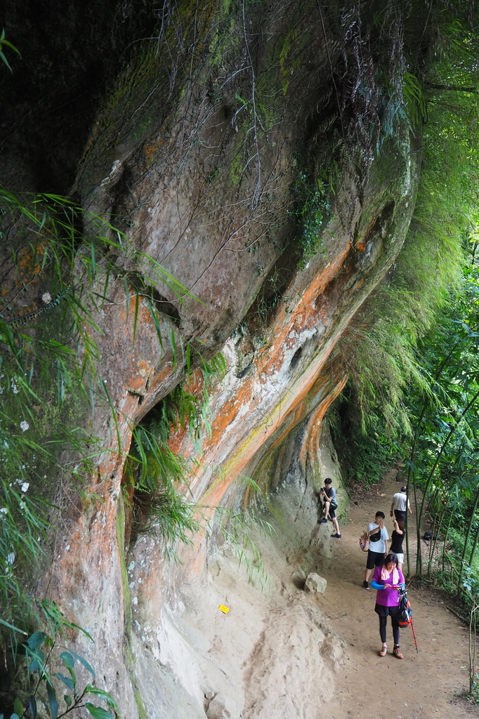 P6135795.JPG P6135795.JPG