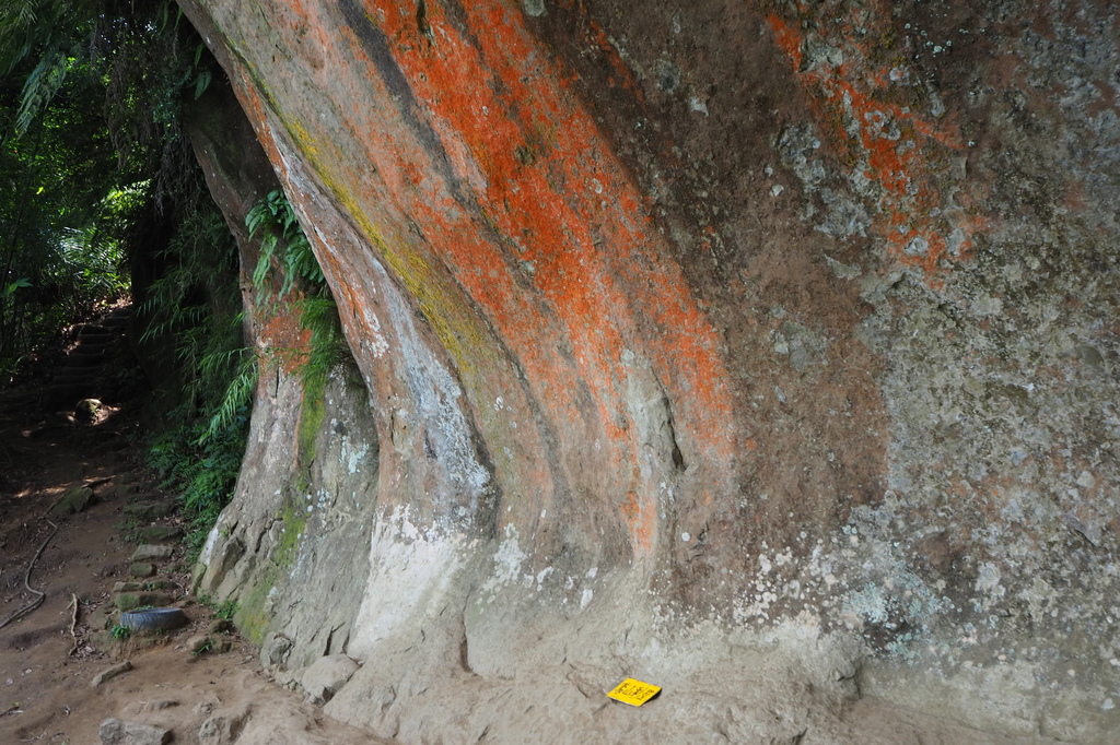 P6135796.JPG P6135796.JPG