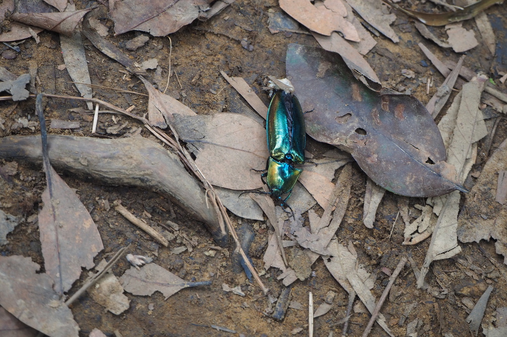 P6135814.JPG P6135814.JPG