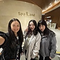 IMG_2408.jpeg