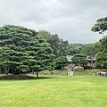 IMG_0463.jpeg
