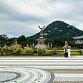 IMG_0175.jpeg