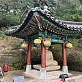 IMG_2323.JPG