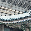 IMG_2241.jpeg