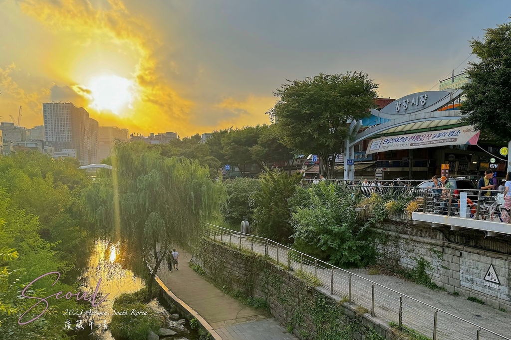 [2023南韓中秋行] 首爾廣藏市場 & DDP東大門設計廣