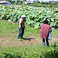 陷入泥濘