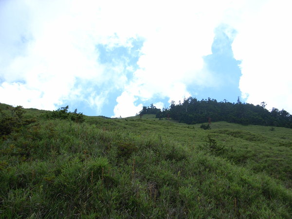 合歡東峰旁01.JPG