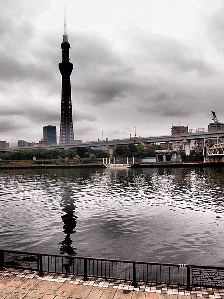 P6093050.JPG P6093050.JPG