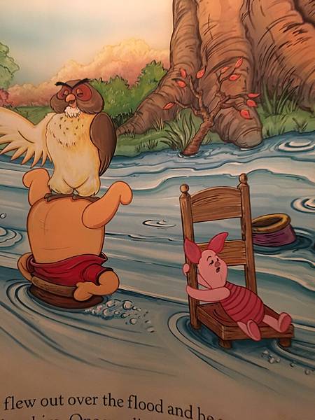 IMG_5661.JPG IMG_5661.JPG