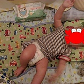 20161017_4399.jpg 20161017_4399.jpg