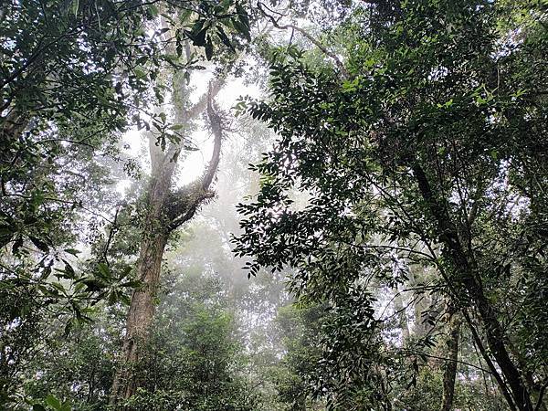 來去~特富野古道南端入口