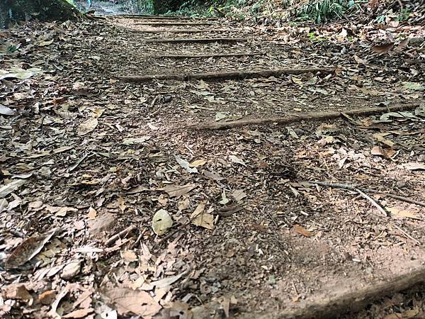 來去~特富野古道南端入口