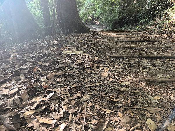 來去~特富野古道南端入口