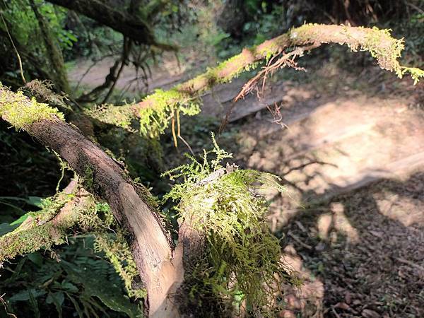 來去~特富野古道南端入口