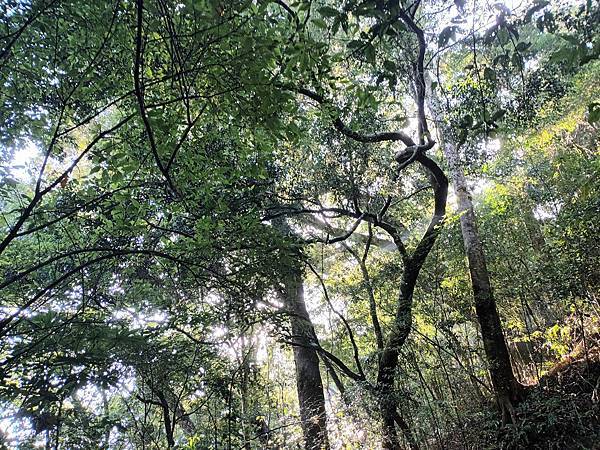 來去~特富野古道南端入口