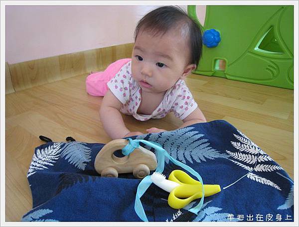 IMG_5828 IMG_5828