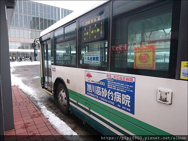 DSC_6609.JPG DSC_6609.JPG