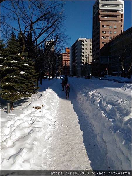 P_20190130_102959.jpg P_20190130_102959.jpg