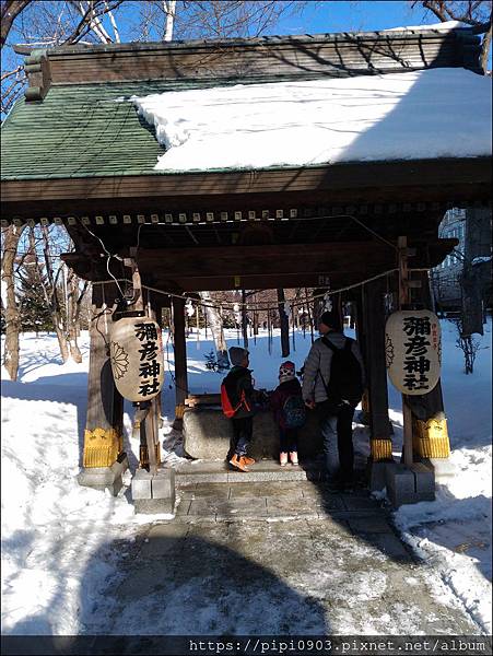 P_20190130_103515.jpg P_20190130_103515.jpg