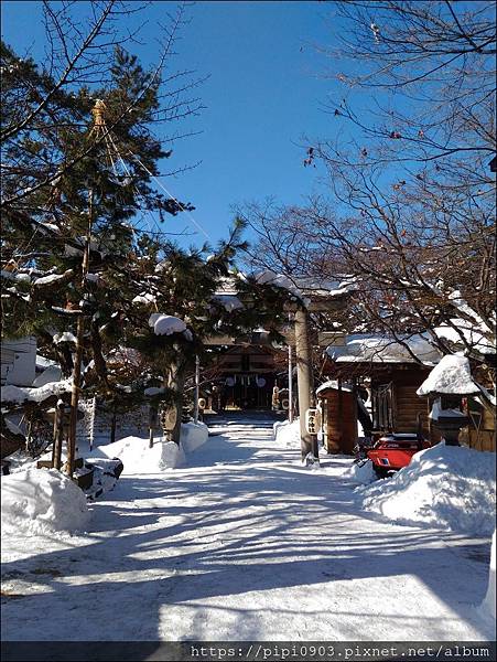 P_20190130_103214.jpg P_20190130_103214.jpg