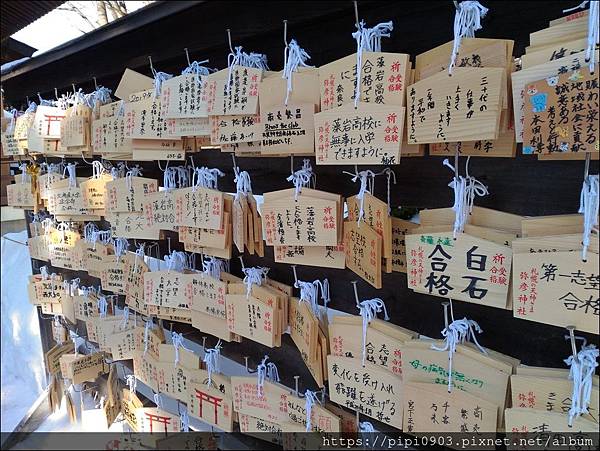 P_20190130_103829.jpg P_20190130_103829.jpg