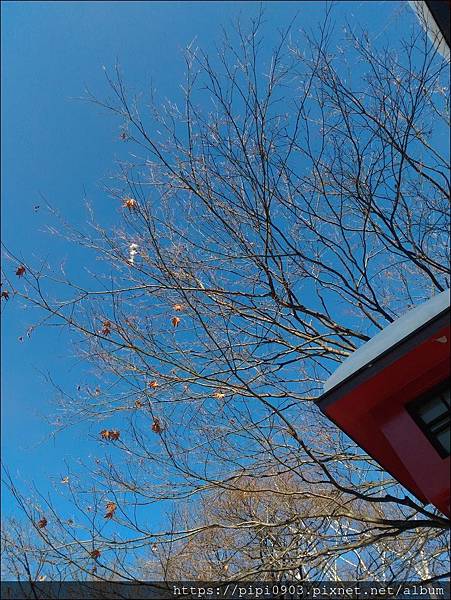 P_20190130_104016.jpg P_20190130_104016.jpg