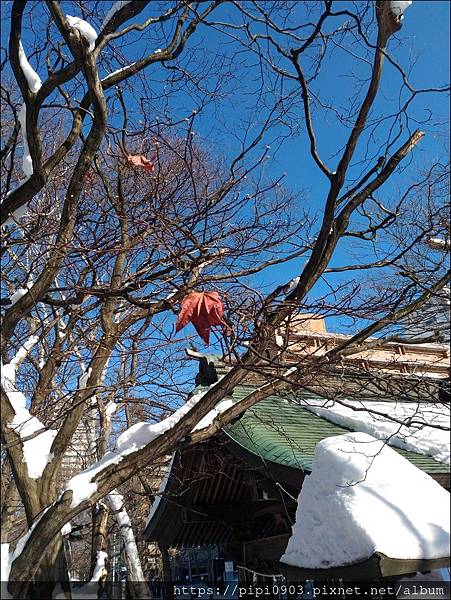 P_20190130_103941.jpg P_20190130_103941.jpg