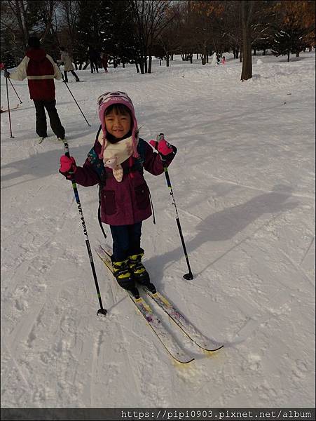 P_20190130_122432.jpg P_20190130_122432.jpg