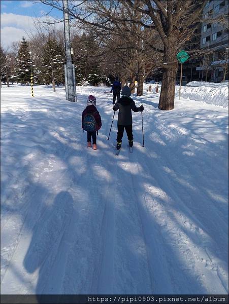 P_20190130_111556.jpg P_20190130_111556.jpg