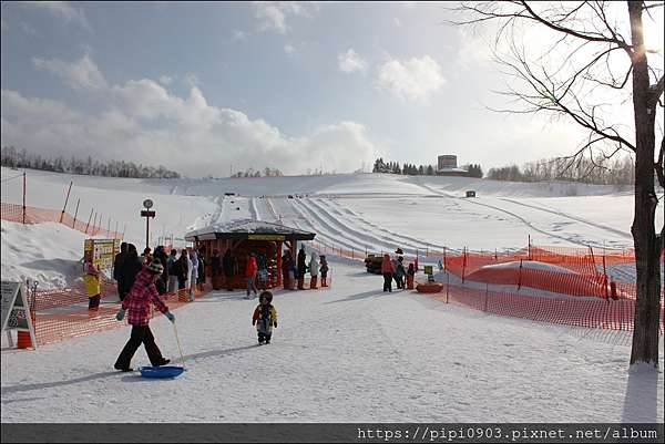 北海道 國營滝野鈴蘭丘陵公園 親子戲雪天堂 羊毛出在皮身上 痞客邦