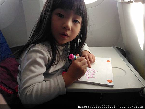 P_20190127_144923.jpg P_20190127_144923.jpg