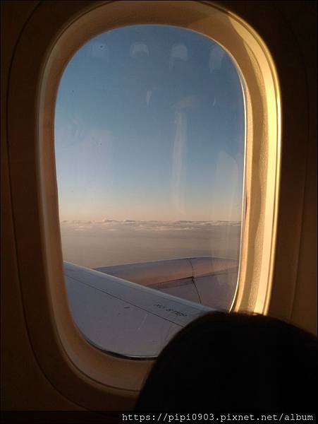 P_20190127_151442.jpg P_20190127_151442.jpg