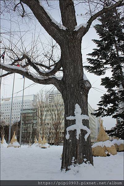 IMG_7549.JPG IMG_7549.JPG