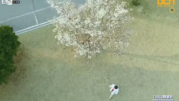 全螢幕擷取 452017 205158.bmp