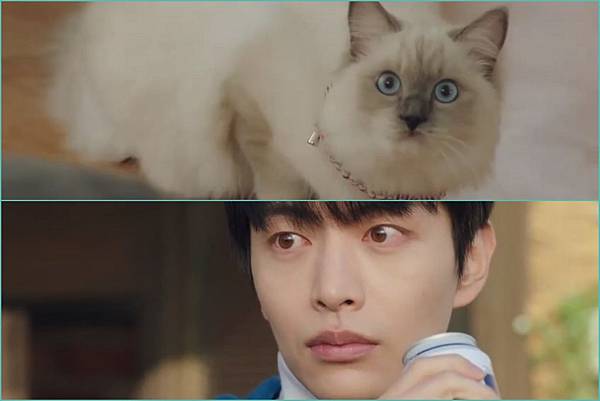 Screen Captures46 Screen Captures46