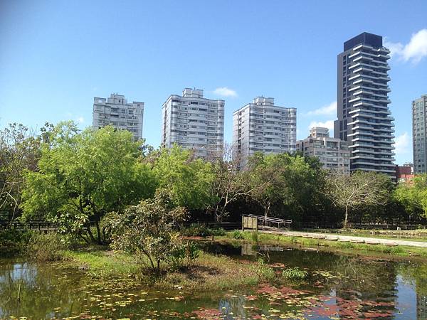 關渡自然公園