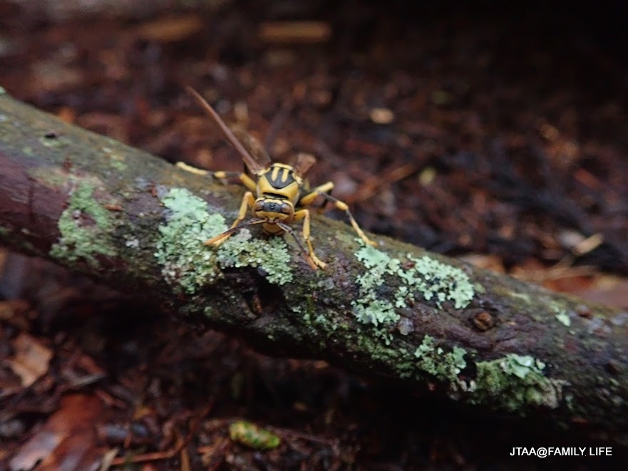 IMG_0902.JPG IMG_0902.JPG